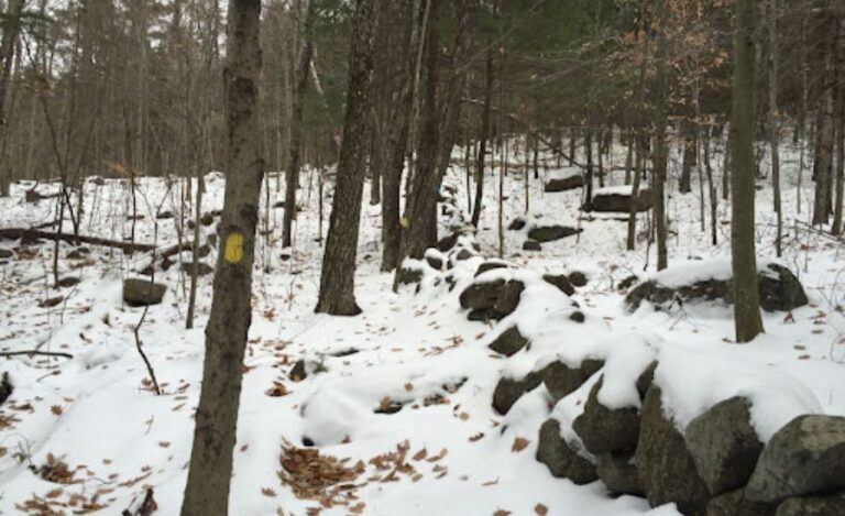 History of Stewart Peak Warner NH