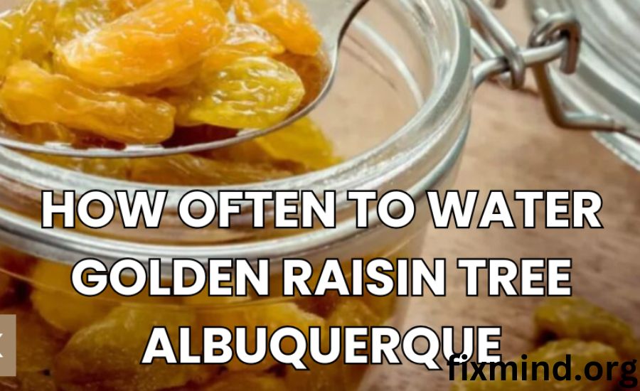 Understanding Albuquerque’s Climate and Its Effect on Watering Needs for Golden Raisin Trees