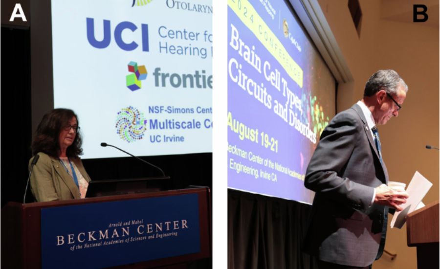 Molecular and Cellular Research in Auditory Science: Advancing Treatment for Hearing Loss