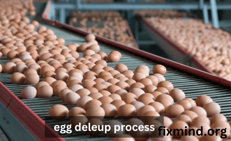 Common Mistakes to Avoid in the Egg Deleup Process